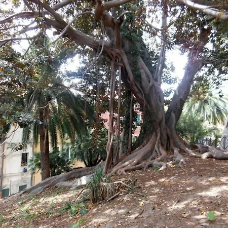 La Casa Sui Tetti, Nella Città Vecchia Di Appartement San Remo